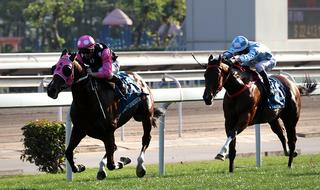 Beauty Generation (NZ) gave his growing reputation another big boost in the Group 1 Stewards’ Cup.